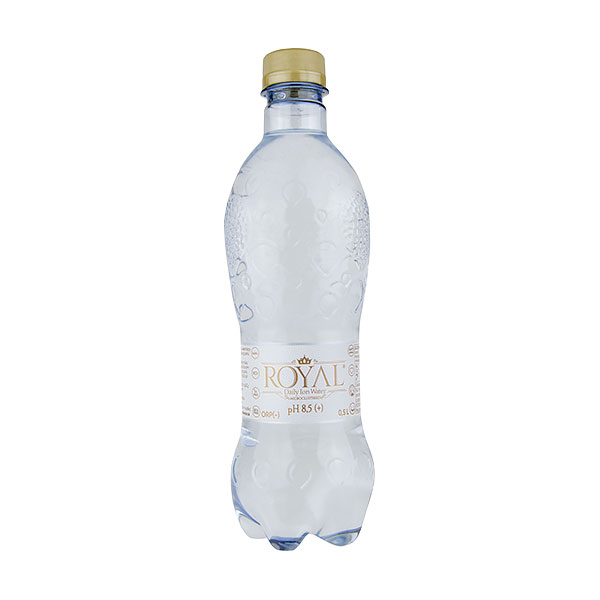 Daily Ion water 0,5 l  (12 ks)